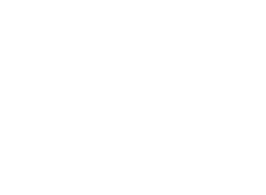 Les Mousquetaires